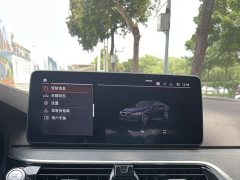 BMW 5 Series 530Li Leading M Sports Package - фото 13