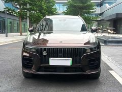 Lynk & Co 09 EM-P 2021 2.0T PHEV Ultra 7-Seater - фото 3