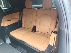 Lynk & Co 09 EM-P 2021 2.0T PHEV Ultra 7-Seater - фото 9