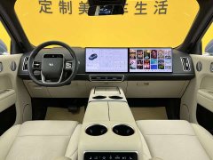 Li Auto Ideal L9 2022 Max - фото 10