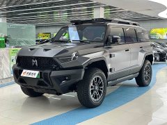 Lynk & Co Warrior 917 extended range basic version - фото 1