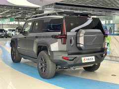 Lynk & Co Warrior 917 extended range basic version - фото 3