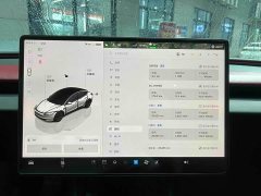 Tesla Model 3 rear-wheel drive version - фото 15