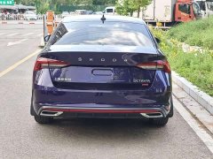 Lexus Octavia 2021 PRO TSI280 DSG Flagship Edition - фото 6