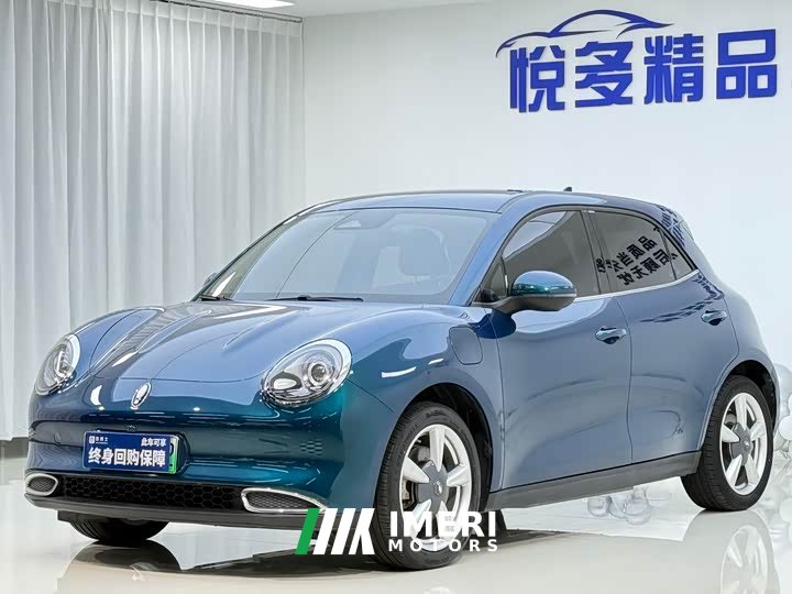 Lexus Euler Good Cat 401km standard battery life luxury lithium iron phosphate - автомобиль из Китая