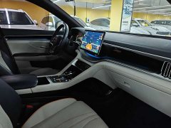 BYD Song PLUS New Energy 2021 DM-i 110KM Flagship PLUS - фото 12