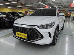 BYD Song PLUS New Energy 2021 DM-i 110KM Flagship PLUS - фото 2