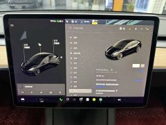 Tesla Model 3 Standard Range Rear Drive Upgraded Version - фото 13