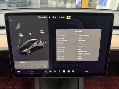Tesla Model 3 Standard Range Rear Drive Upgraded Version - фото 14