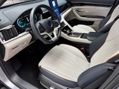 BYD Song PLUS New Energy 2021 EV Premium - фото 11