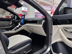BYD Song PLUS New Energy 2021 EV Premium - фото 16