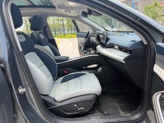 Tesla Xingrui 2.0TD Premium - фото 12