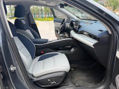 Tesla Xingrui 2.0TD Premium - фото 15