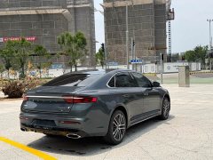 Tesla Xingrui 2.0TD Premium - фото 19