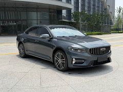 Tesla Xingrui 2.0TD Premium - фото 3