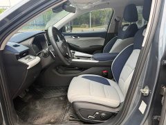 Tesla Xingrui 2.0TD Premium - фото 4