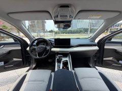 Tesla Xingrui 2.0TD Premium - фото 5