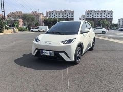BYD Seagull Free Edition - фото 1