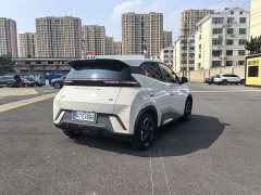 BYD Seagull Free Edition - фото 15