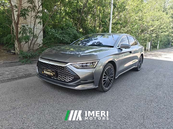 Lexus Han 2020 DM four-wheel drive performance version luxury