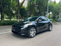 Tesla Model Y rear-wheel drive version - фото 1