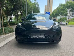 Tesla Model Y rear-wheel drive version - фото 2