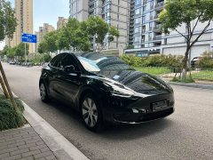 Tesla Model Y rear-wheel drive version - фото 3