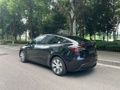 Tesla Model Y rear-wheel drive version - фото 5