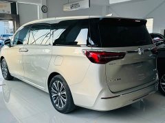 Buick GL8 ES Land Business Luxury - фото 6