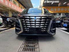 Denza D9 2024 DM-i 980 four-wheel drive flagship - фото 2