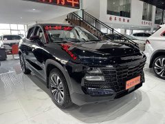 Jetour Monkey King 2022 1.6T DCT King PRO - фото 3