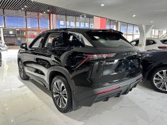 Jetour Monkey King 2022 1.6T DCT King PRO - фото 4