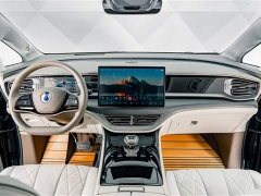 Denza D9 DM-i 970 four-wheel drive flagship - фото 13