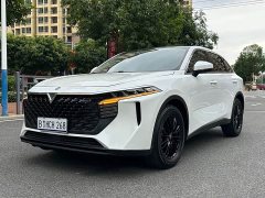Lynk & Co Venucia Big V 260T Dark Horse Edition Idol - фото 1