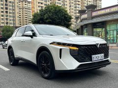 Lynk & Co Venucia Big V 260T Dark Horse Edition Idol - фото 3