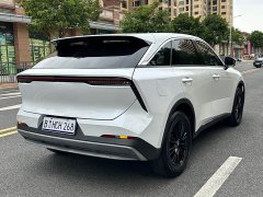 Lynk & Co Venucia Big V 260T Dark Horse Edition Idol - фото 5