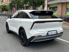 Lynk & Co Venucia Big V 260T Dark Horse Edition Idol - фото 6