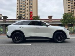 Lynk & Co Venucia Big V 260T Dark Horse Edition Idol - фото 8