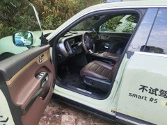 Smart Elf #5 Extra Long Battery Life Qilu Deluxe Edition - фото 5