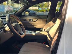 Chery Tiggo 8 PLUS 290TGDI DCT Premium Edition - фото 4