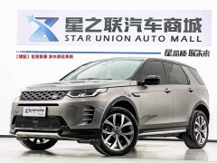 Lexus Discovery Sport Luxury Customized Edition - фото 1