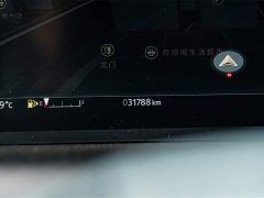 Lexus Discovery Sport Luxury Customized Edition - фото 10
