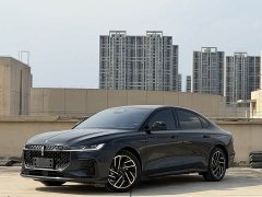 Lincoln Z 2022 iCool 100th Anniversary Limited Edition - фото 3