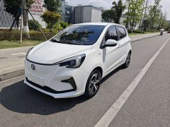 Changan Benben E-Star 2020 Heartbeat Edition ternary lithium - фото 1