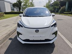 Changan Benben E-Star 2020 Heartbeat Edition ternary lithium - фото 2