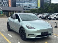 Tesla Model Y 2022 long-range all-wheel drive version - фото 2