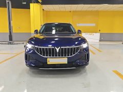 Voyah Lantu FREE four-wheel drive ultra-long range extended range version - фото 1