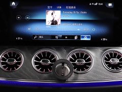 Mercedes-Benz CLS 300 Dynamic - фото 20