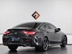 Mercedes-Benz CLS 300 Dynamic - фото 6