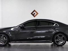 Mercedes-Benz CLS 300 Dynamic - фото 7